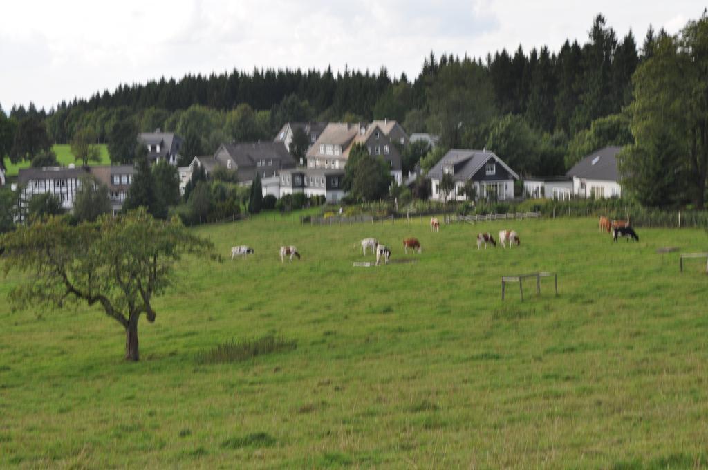 Landschafts-Gasthaus Brautigam-Hanses Шмалленберг Екстер'єр фото